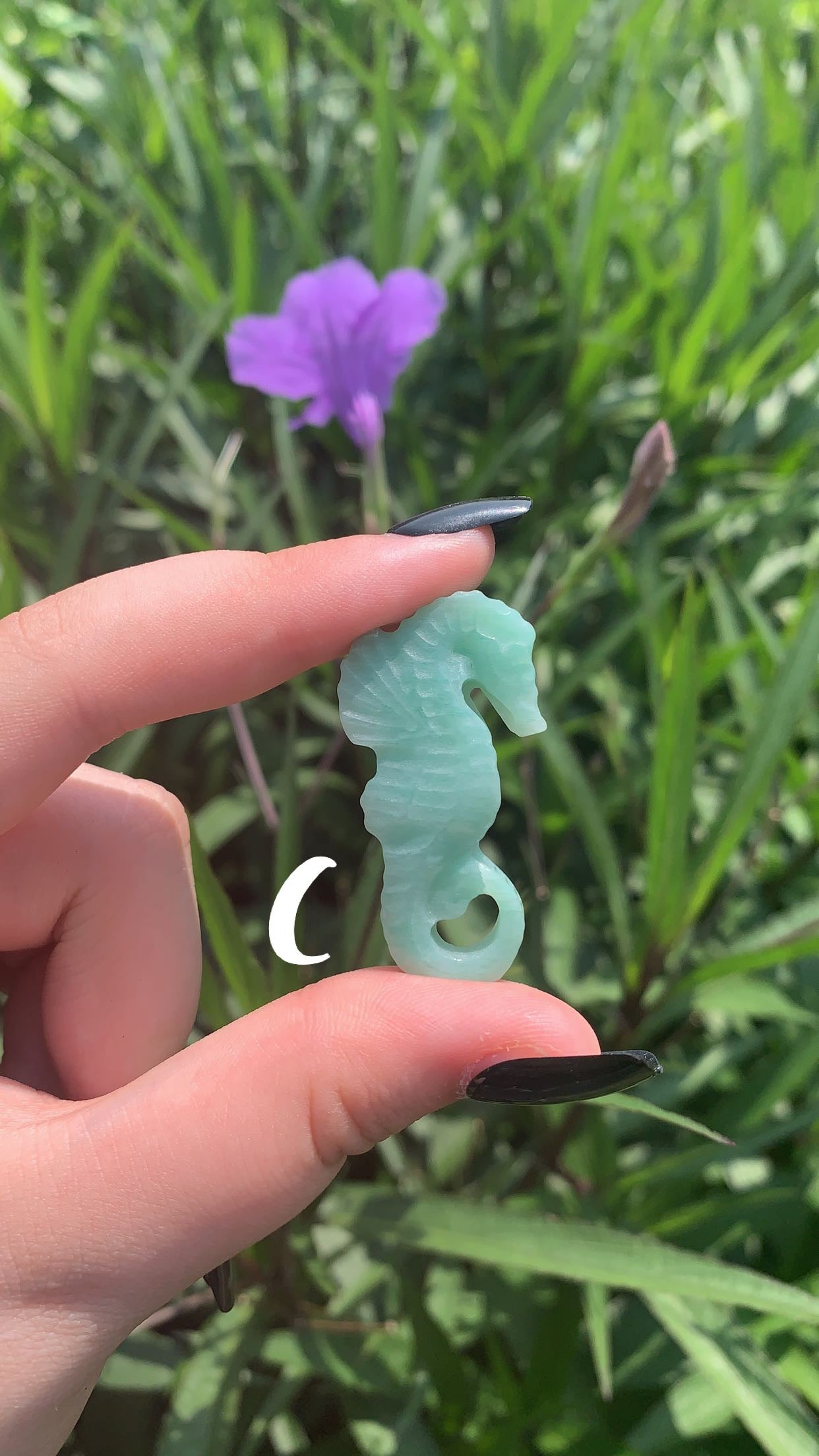 Amazonite Sea Horse