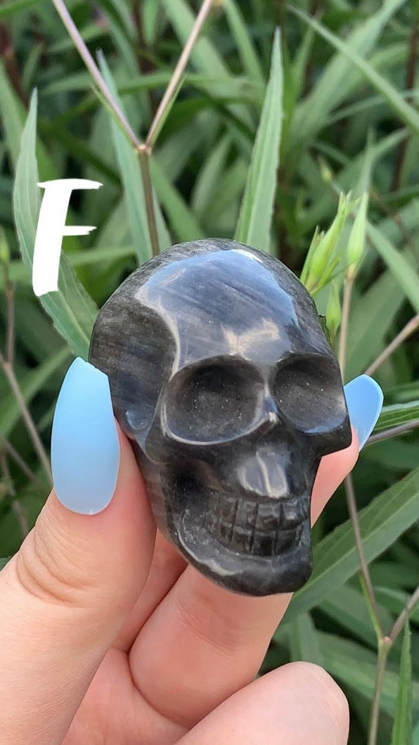 Small Skull