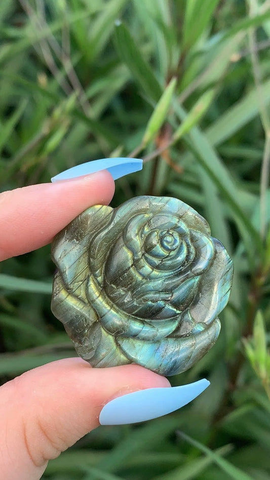 Labradorite Rose