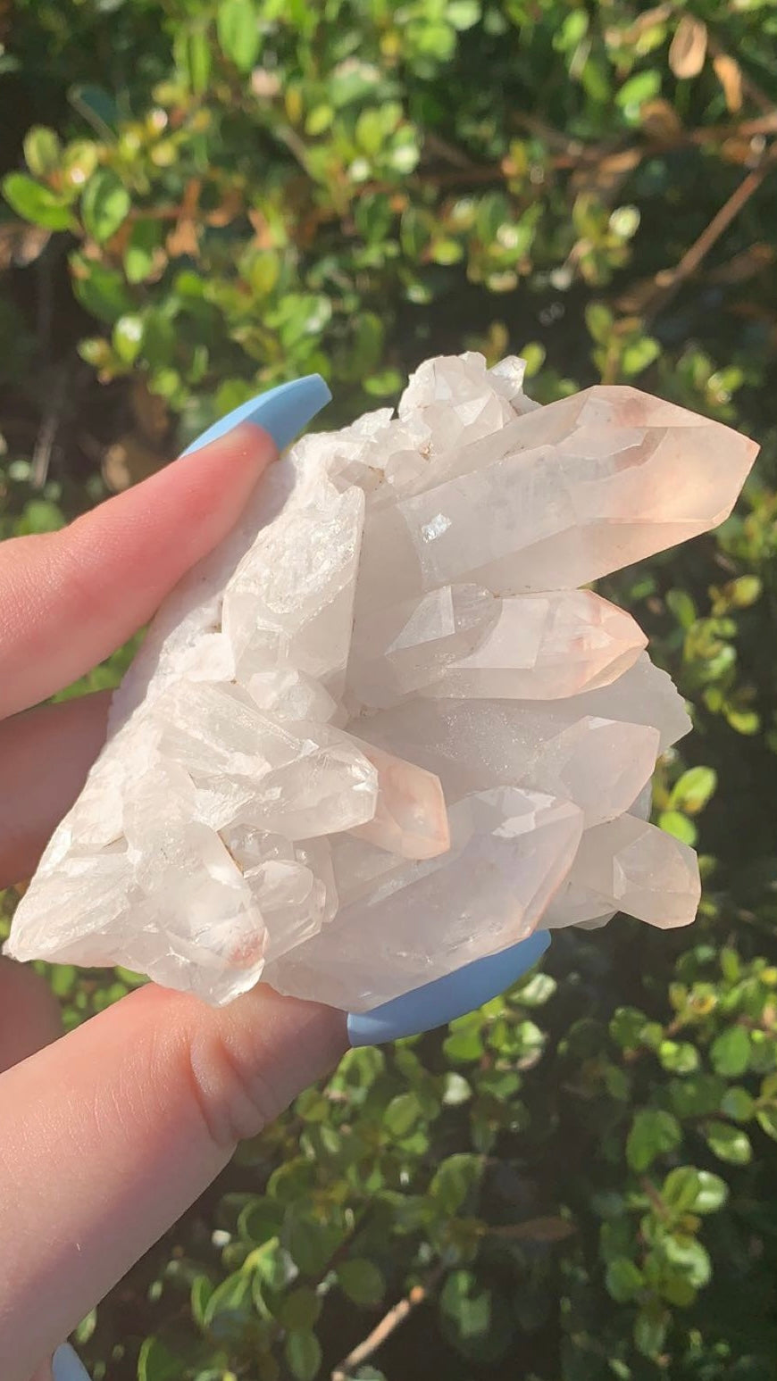 Clear Quartz Cluster