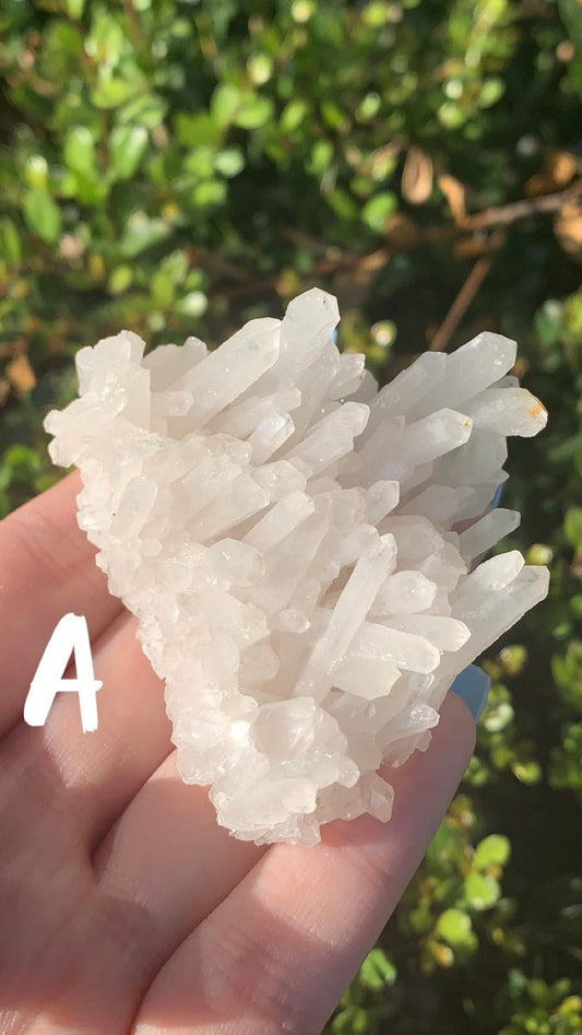 Clear Quartz Cluster