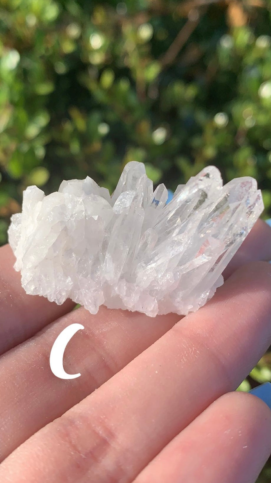 Clear Quartz Cluster