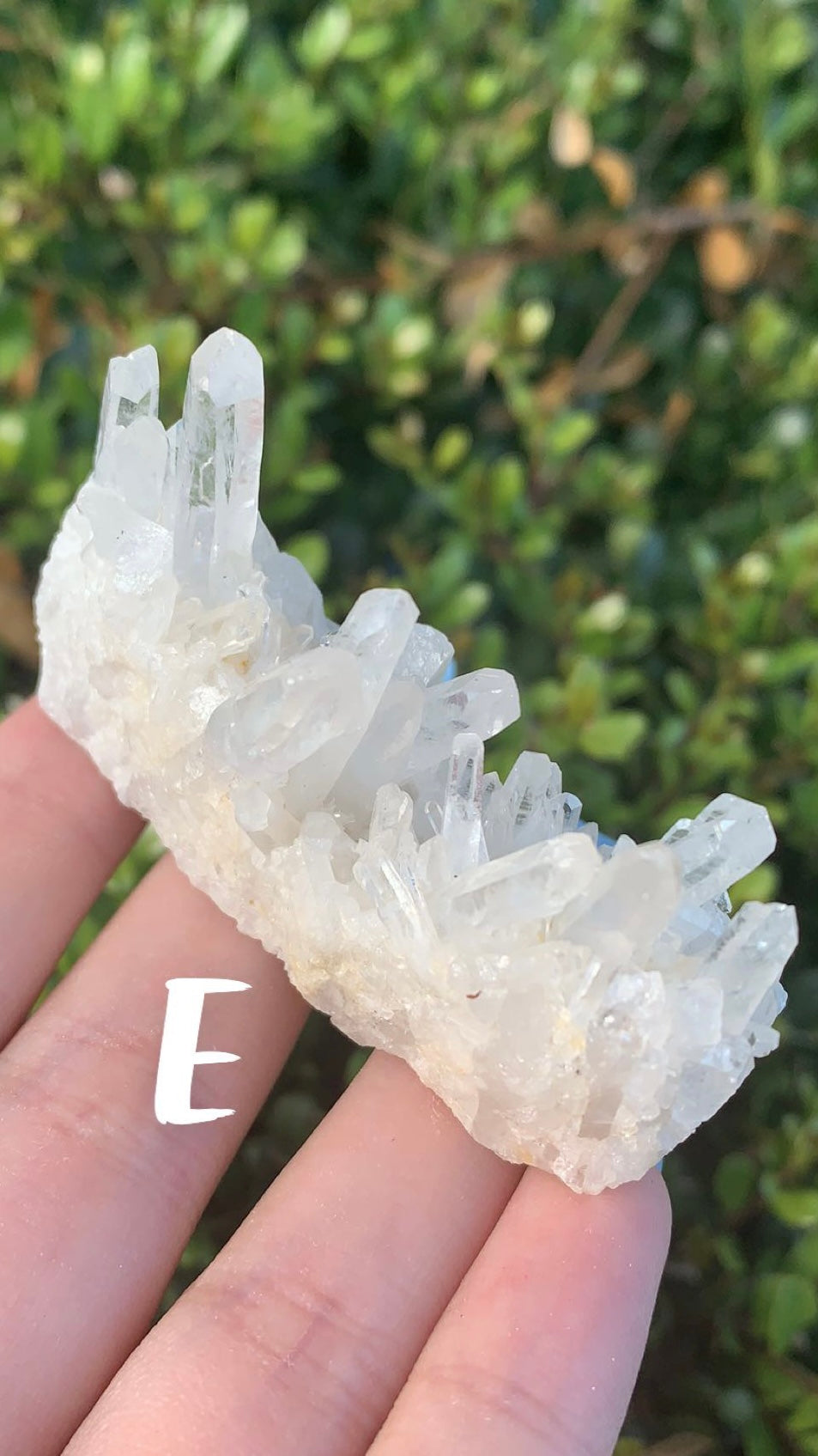 Clear Quartz Cluster