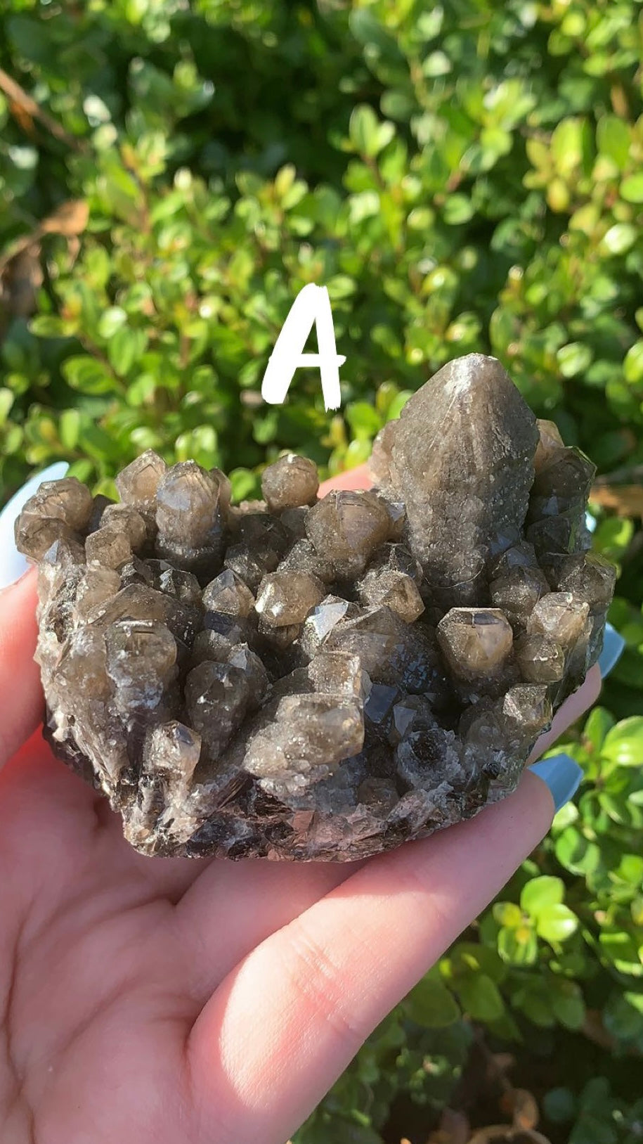 Smokey Quartz Cluster