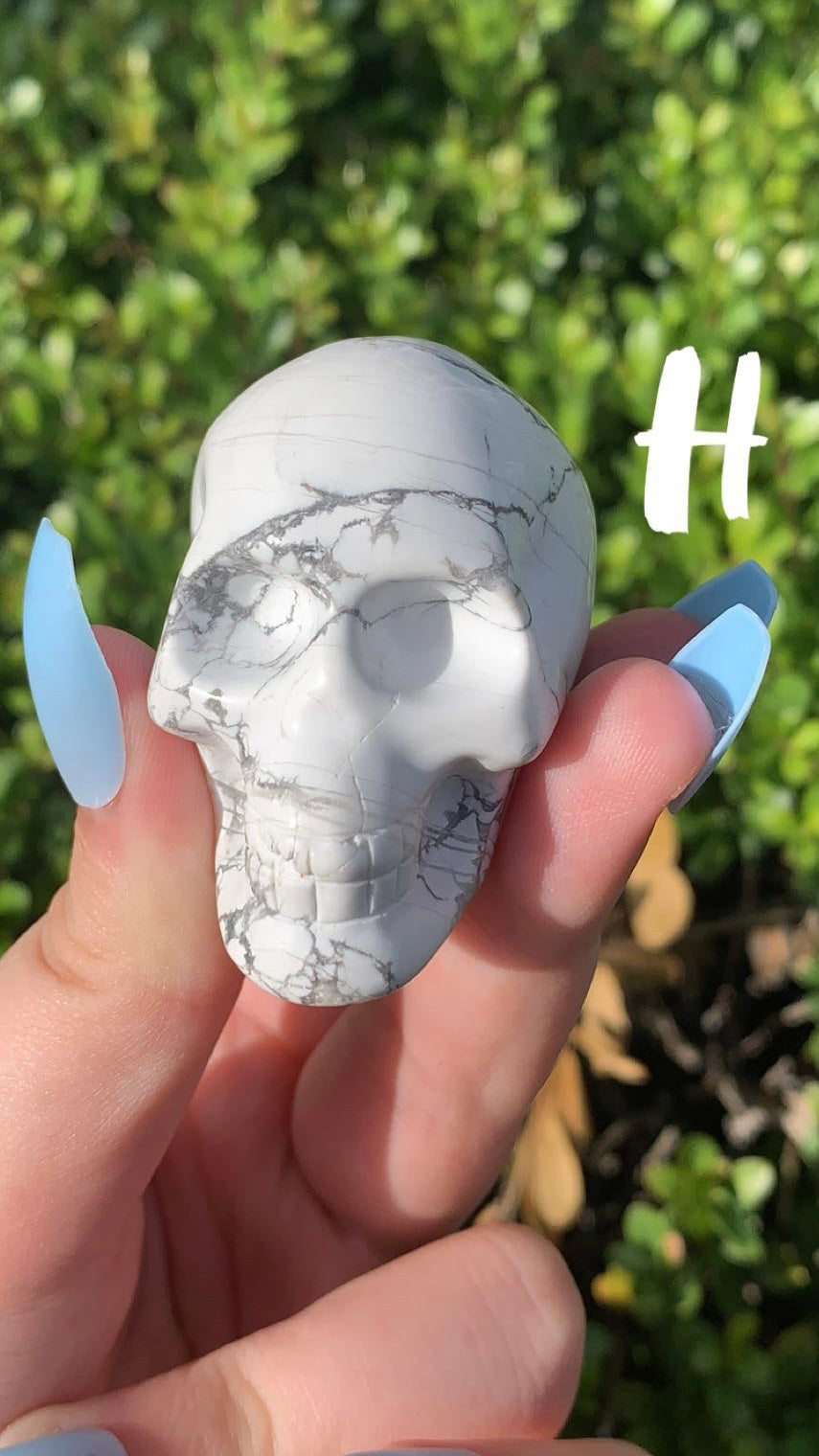 Small Skull