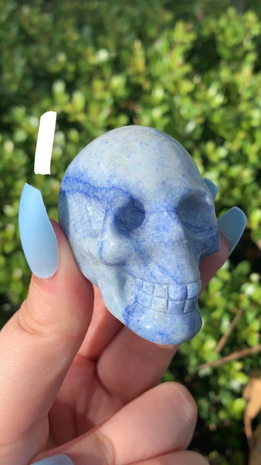 Small Skull